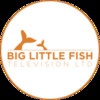 Big Little Fish TV